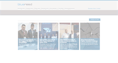 Desktop Screenshot of bluereed.es